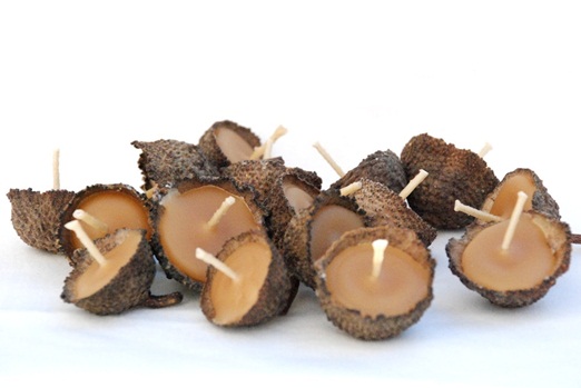acorn cap floating beeswax candles