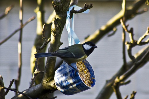 Vintage teacup bird feeder
