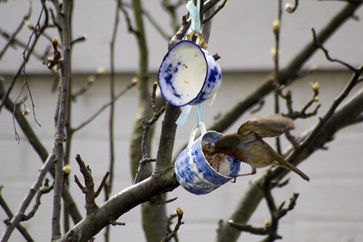 vintage teacup bird feeders