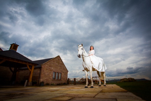 White horse at Heaton House Farm