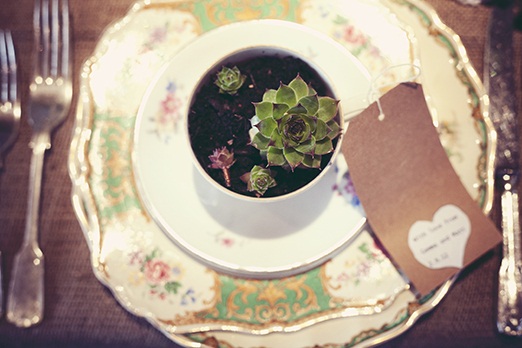 Teacup wedding favour with succulent