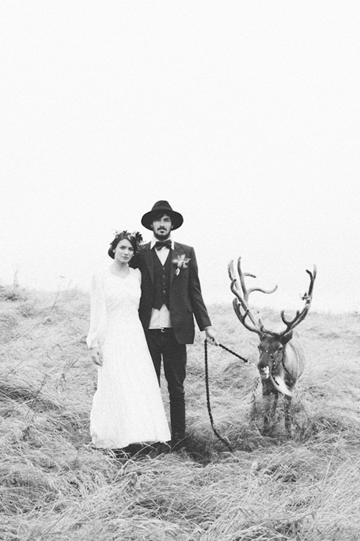 Reindeer wedding shoot