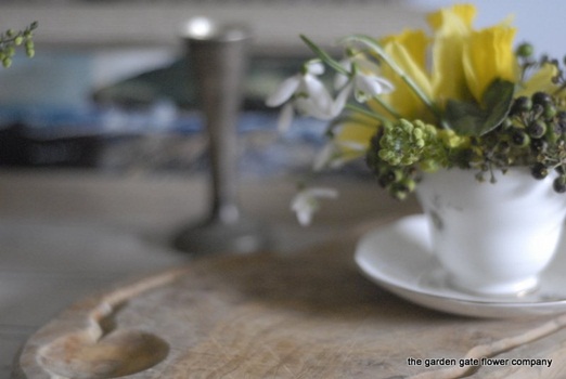 Daffodils, snowdrops and ivy berries in a vintage teacup