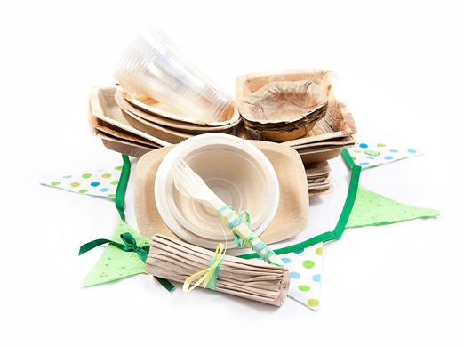 Biodegradable picnic tableware