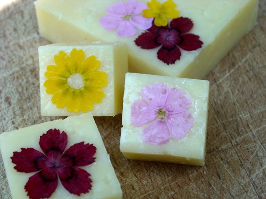 Individual cheeses with edible flowers from The Edible Flower Shop http://www.theedibleflowershop.co.uk/ 