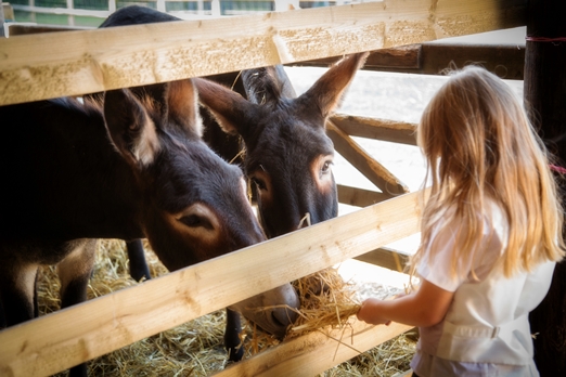 Harriet and Paul’s homemade eco-friendly wedding – photography http://www.philevansphoto.co.uk/ Harriet and Paul’s homemade eco-friendly wedding – photography http://www.philevansphoto.co.uk/
