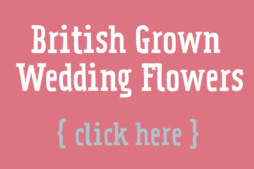 british_flowers_week3
