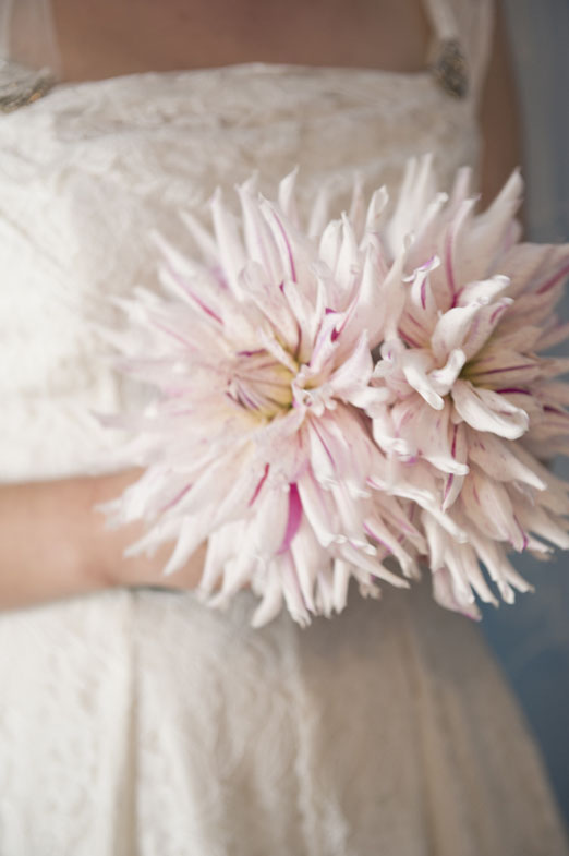 Homegrown dahlias for bridal bouquet – photography http://katmervynphotography.com 