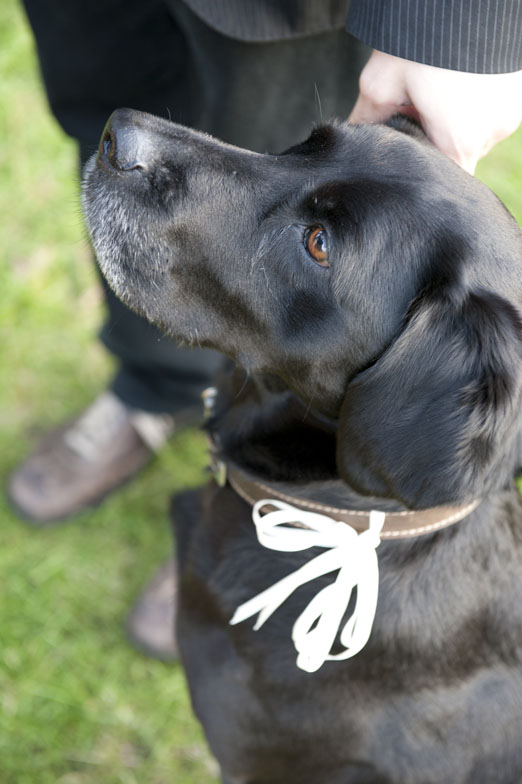 Bridget and Jeremy’s laidback Irish wedding with a vintage wedding dress, homegrown flowers and inspiring homemade décor – photography www.kristinaeixenberger.com 