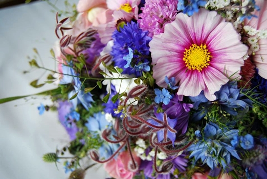Summer wedding bouquet of cosmos, cornflowers, borage flowers by The Flower Hive // The Natural Wedding Company