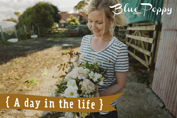 A Day in the Life ... Blue Poppy: a visit to their coastal cutting garden in Scotland with wildflower meadows in the height of summer // Photography The Curries // The Natural Wedding Company