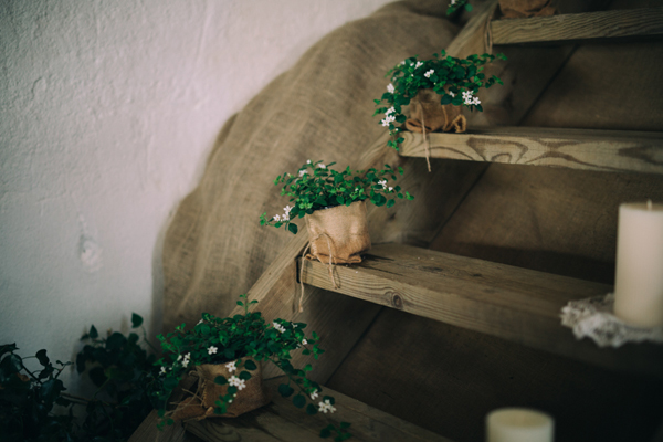 Eco friendly living plant wedding decor // Enchanted Brides Photography // The Natural Wedding Company