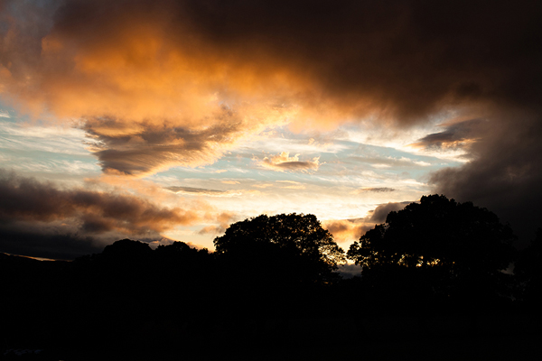 Sunset // Bohemian Weddings // The Natural Wedding Company