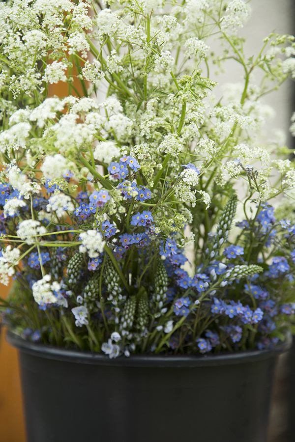Cow parsley and forget-me-nots for a spring Devon farm wedding // Jennie Hill Photography // The Natural Wedding Company
