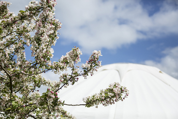 Apple blossom and yurts // Jennie Hill Photography // The Natural Wedding Company